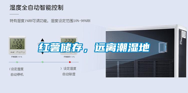 红薯储存，远离潮湿地
