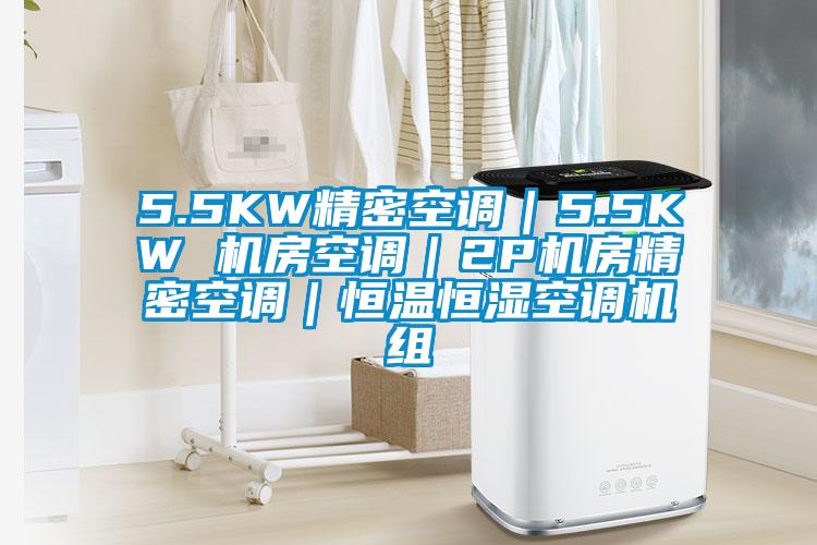 5.5KW精密空调｜5.5KW 机房空调｜2P机房精密空调｜恒温恒湿空调机组