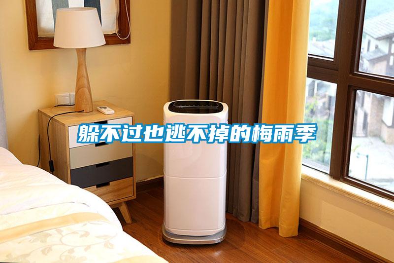 躲不过也逃不掉的梅雨季