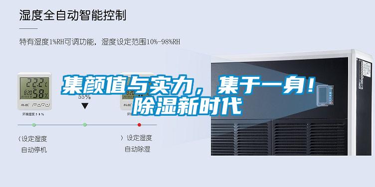 集颜值与实力，集于一身！除湿新时代