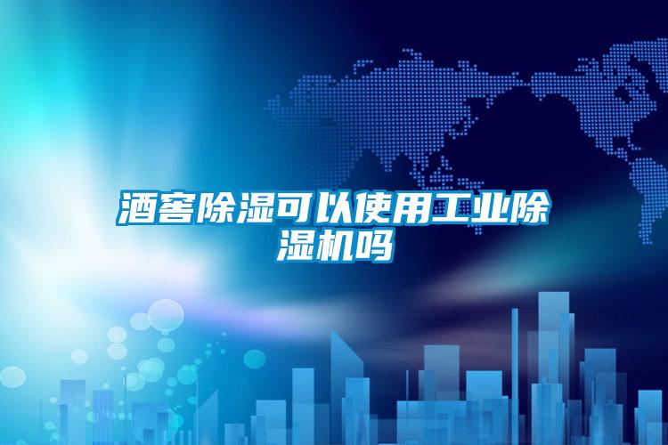 酒窖除湿可以使用工业除湿机吗