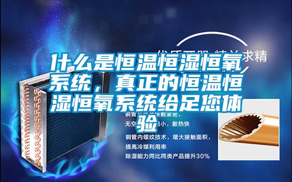 什么是恒温恒湿恒氧系统,真正的恒温恒湿恒氧系统给足您体验