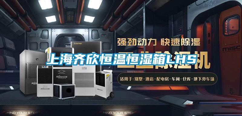 上海齐欣恒温恒湿箱LHS