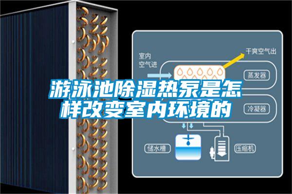 游泳池除湿热泵是怎样改变室内环境的