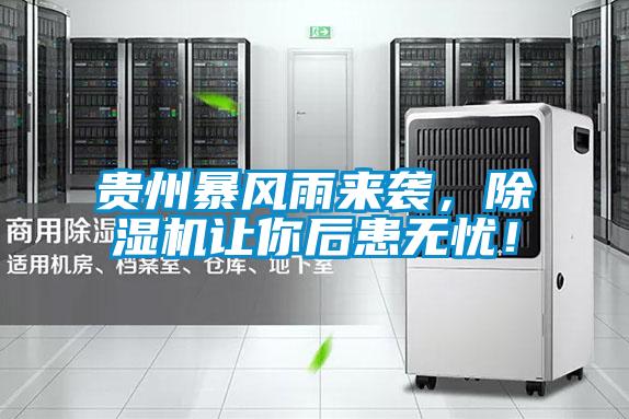 贵州暴风雨来袭，除湿机让你后患无忧！