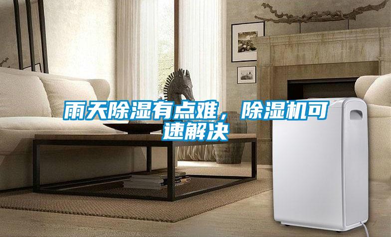 雨天除湿有点难，除湿机可速解决