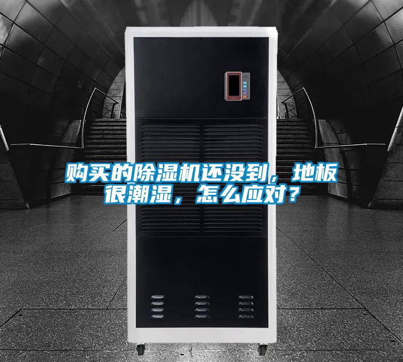 购买的除湿机还没到,地板很潮湿,怎么应对?