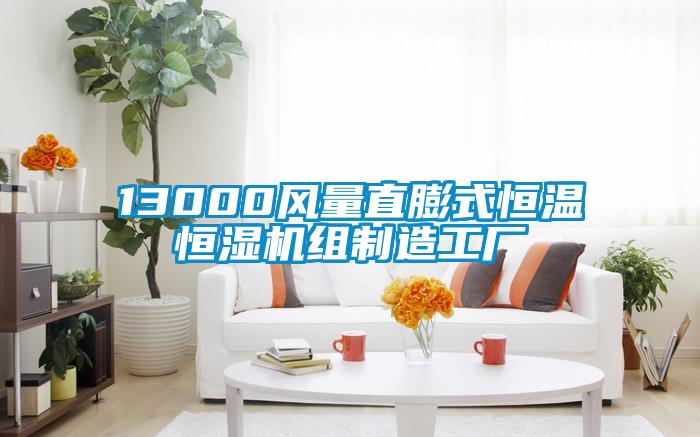 13000风量直膨式恒温恒湿机组制造工厂