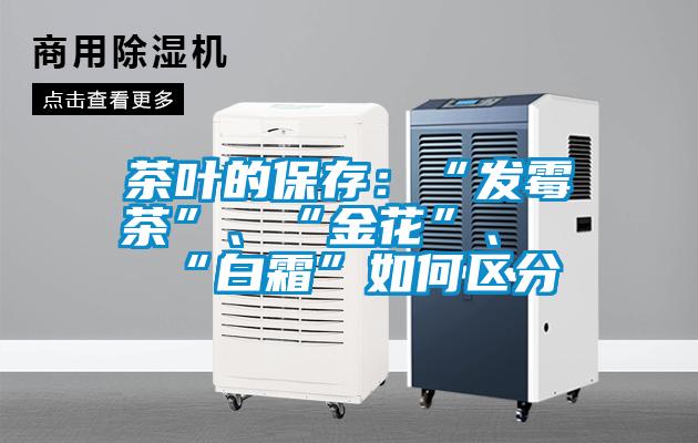 茶叶的保存：“发霉茶”、“金花”、“白霜”如何区分