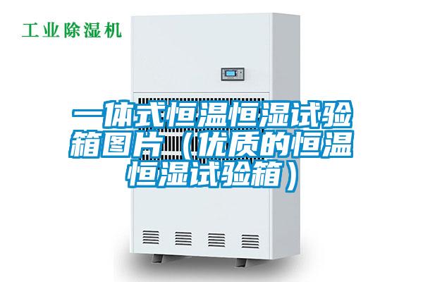 一体式恒温恒湿试验箱图片(优质的恒温恒湿试验箱)