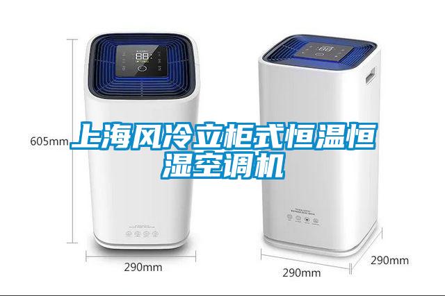 上海风冷立柜式恒温恒湿空调机