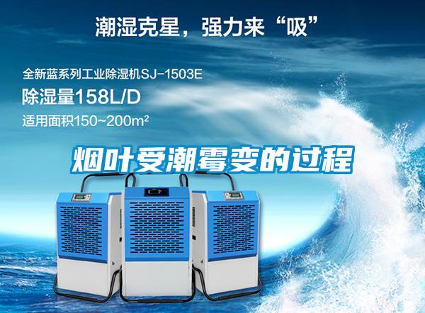 烟叶受潮霉变的过程