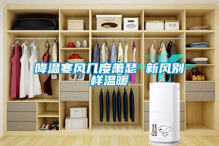 降温寒风几度萧瑟 新风别样温暖