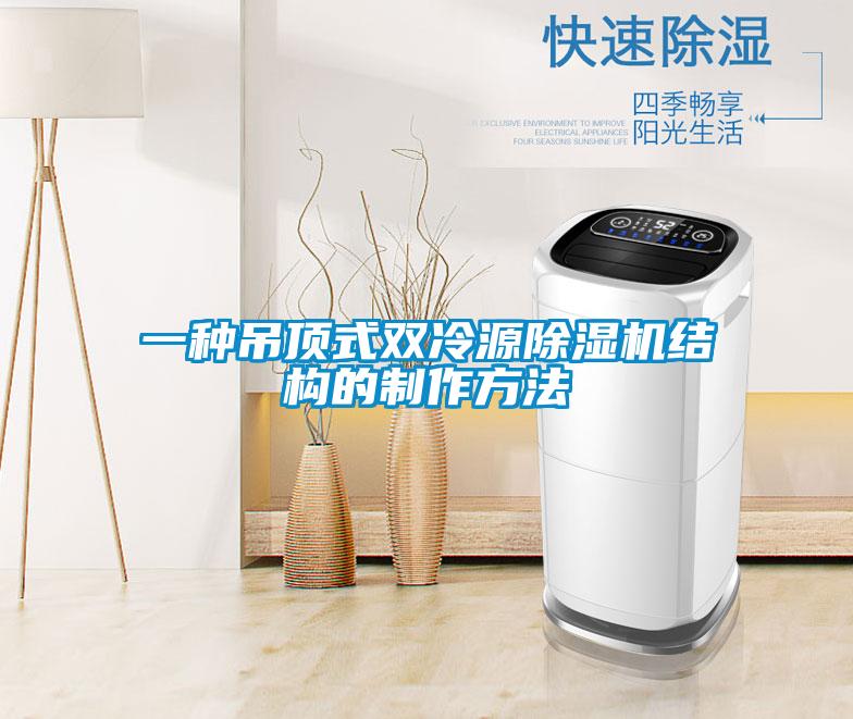 一种吊顶式双冷源除湿机结构的制作方法
