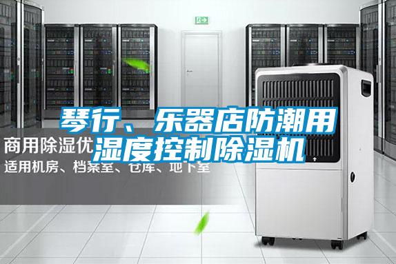 琴行、乐器店防潮用湿度控制除湿机