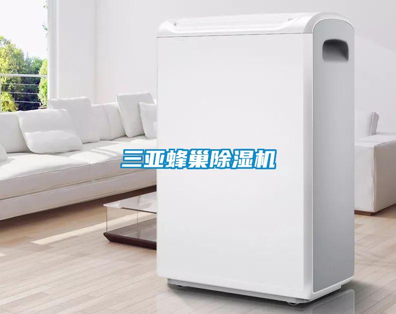三亚蜂巢除湿机