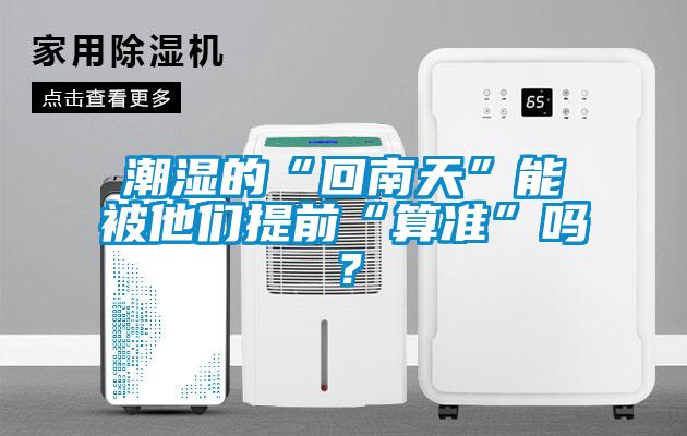 潮湿的“回南天”能被他们提前“算准”吗？
