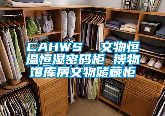 CAHWS  文物恒温恒湿密码柜 博物馆库房文物储藏柜