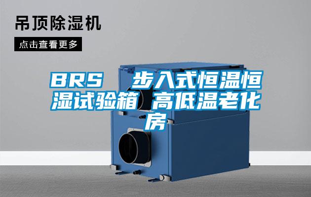 BRS  步入式恒温恒湿试验箱 高低温老化房