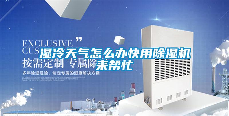 湿冷天气怎么办快用除湿机来帮忙