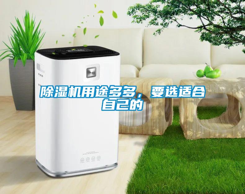 除湿机用途多多，要选适合自己的