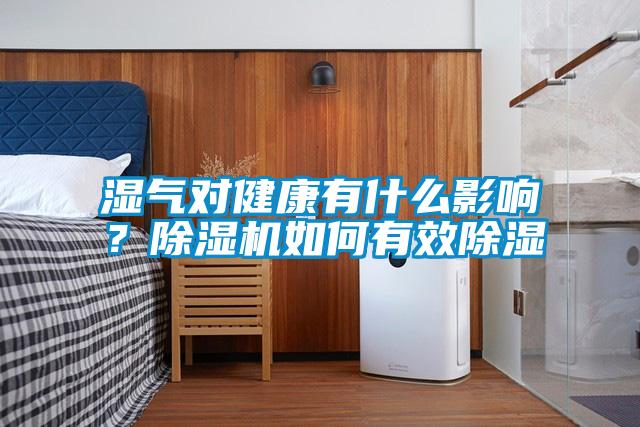 湿气对健康有什么影响?除湿机如何有效除湿