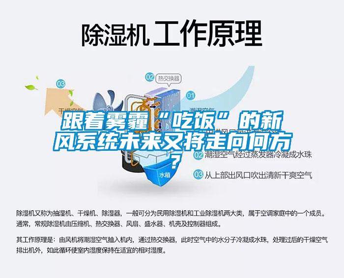 跟着雾霾“吃饭”的新风系统未来又将走向何方？