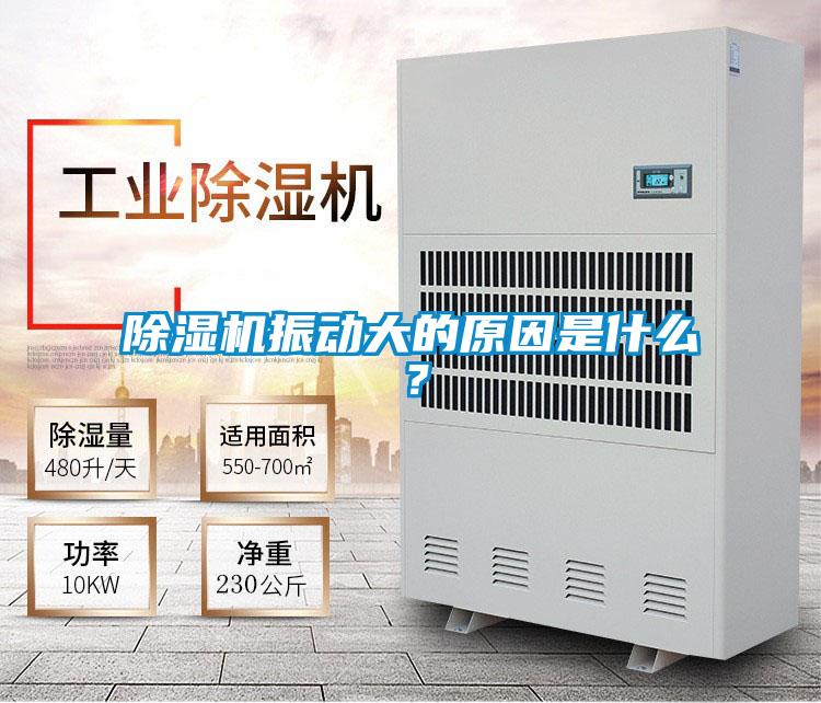 除湿机振动大的原因是什么？