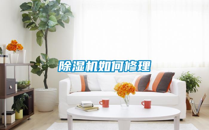 除湿机如何修理