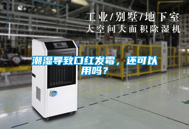 潮湿导致口红发霉，还可以用吗？