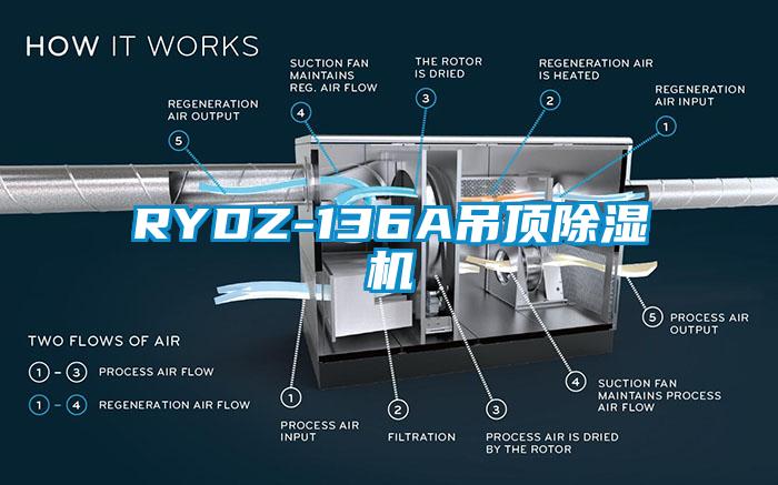 RYDZ-136A吊顶除湿机