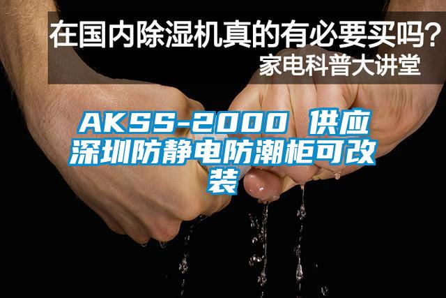 AKSS-2000 供应深圳防静电防潮柜可改装