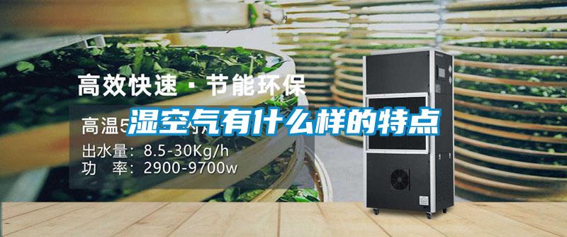 湿空气有什么样的特点