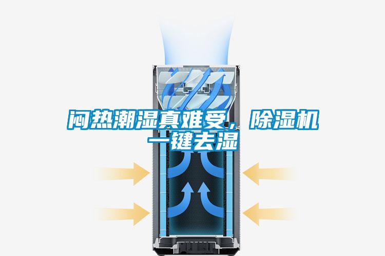 闷热潮湿真难受，除湿机一键去湿