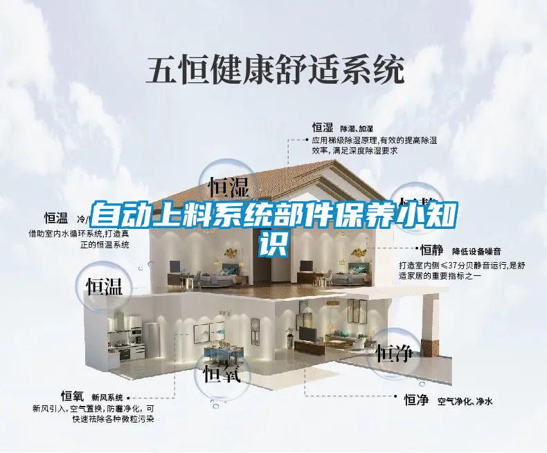 自动上料系统部件保养小知识