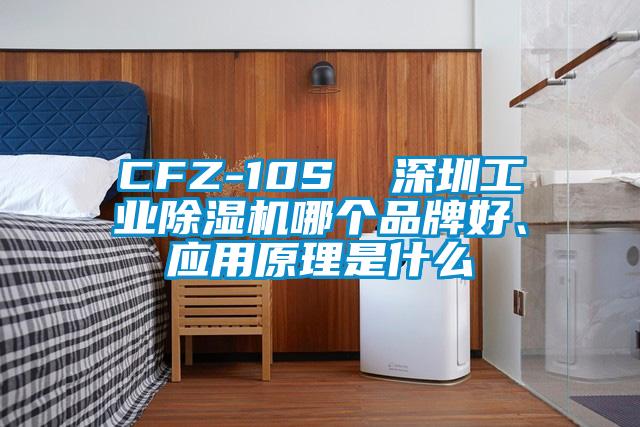 CFZ-10S  深圳工业除湿机哪个品牌好、应用原理是什么