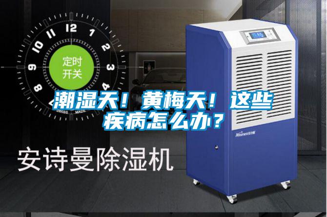 潮湿天!黄梅天!这些疾病怎么办?