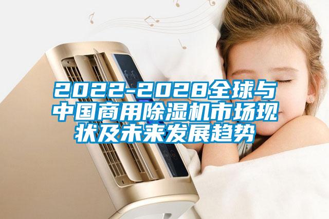 2022-2028全球与中国商用除湿机市场现状及未来发展趋势