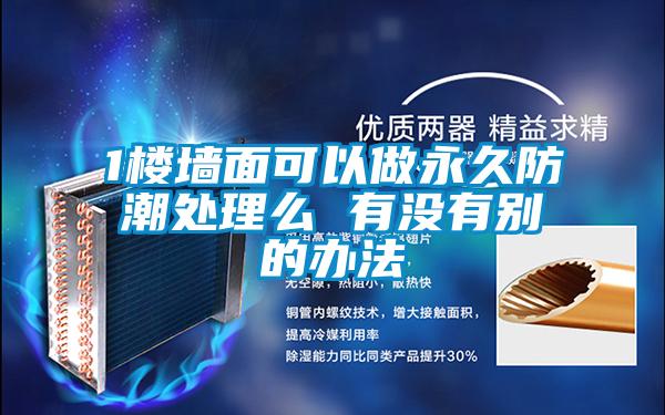 1楼墙面可以做永久防潮处理么 有没有别的办法