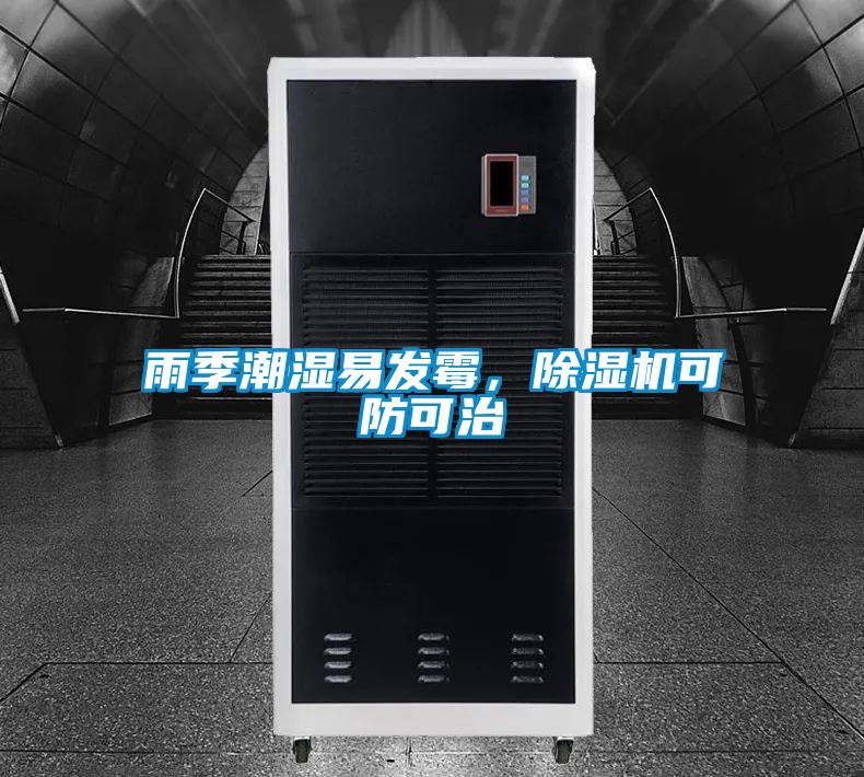 雨季潮湿易发霉，除湿机可防可治