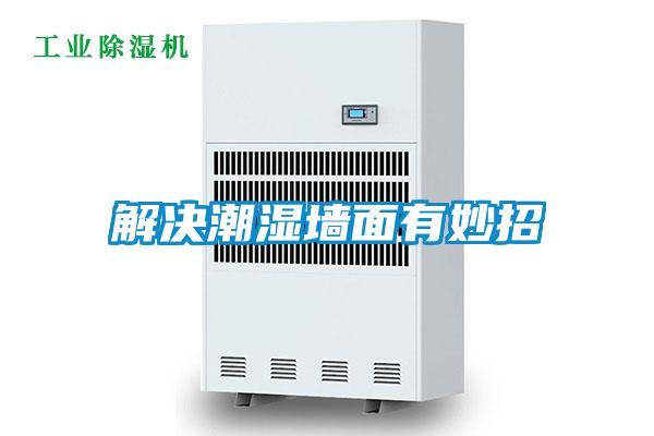 解决潮湿墙面有妙招