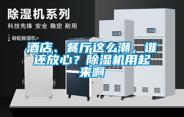 酒店、餐厅这么潮，谁还放心？除湿机用起来啊
