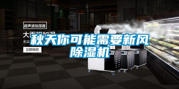 秋天你可能需要新风除湿机