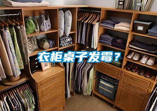 衣柜桌子发霉?