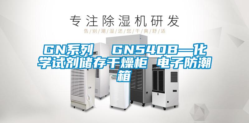 GN系列 GN540B—化学试剂储存干燥柜 电子防潮箱