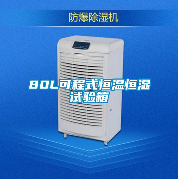 80L可程式恒温恒湿试验箱