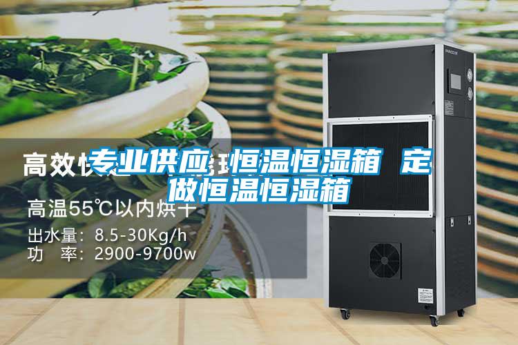 专业供应 恒温恒湿箱 定做恒温恒湿箱