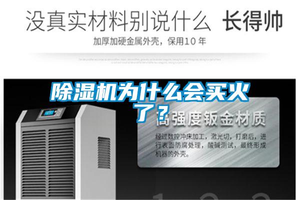 除湿机为什么会买火了？
