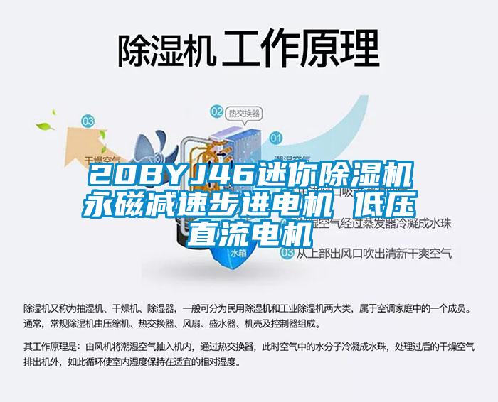 20BYJ46迷你除湿机永磁减速步进电机 低压直流电机