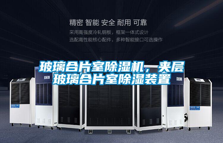 玻璃合片室除湿机，夹层玻璃合片室除湿装置